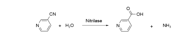 生物催化系列酶介绍之一腈水解酶