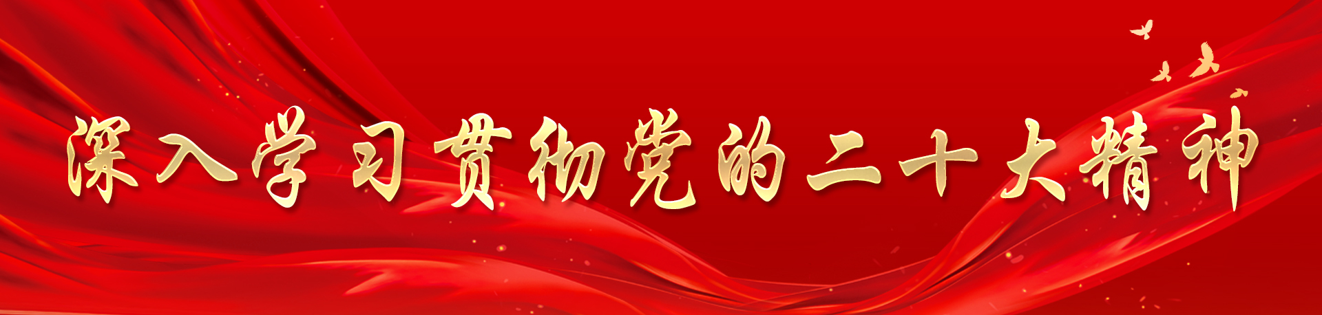 學習貫徹黨的二十大精神