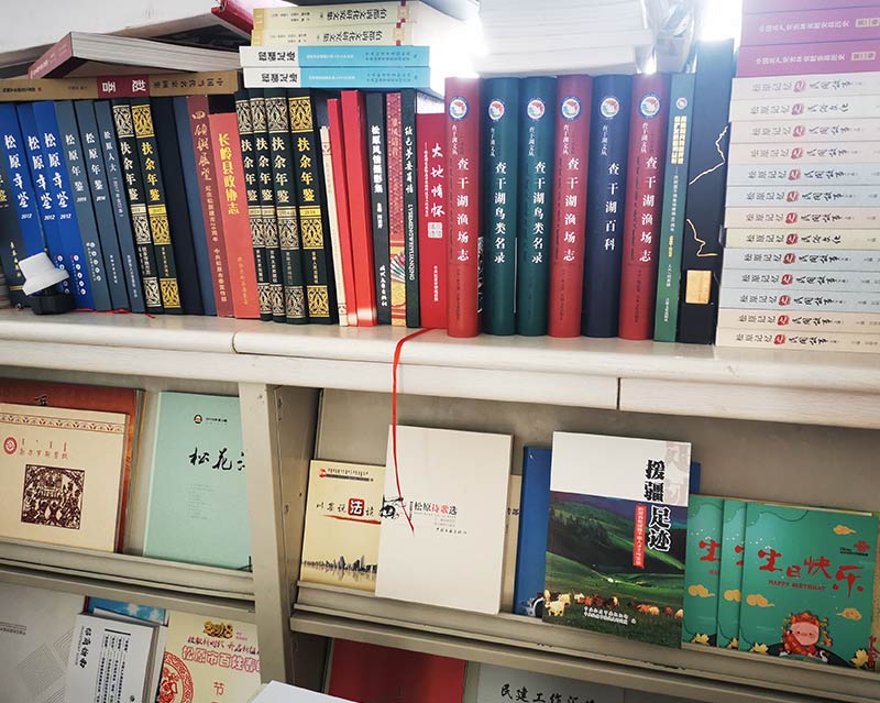 案例展示