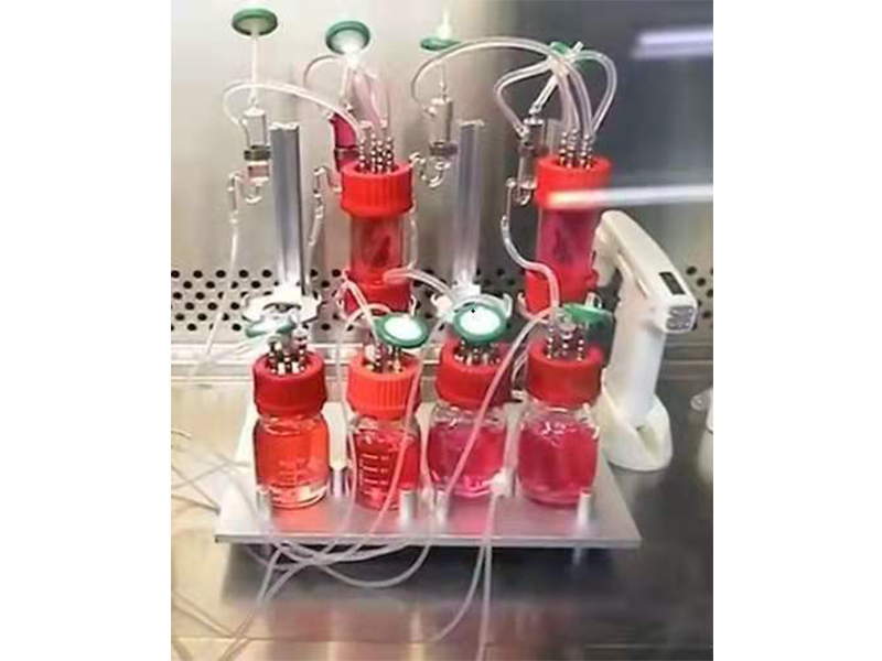 廣州再生醫學研究院血管血流模擬及外生長環境模擬
