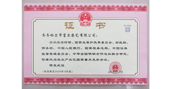 11月29日