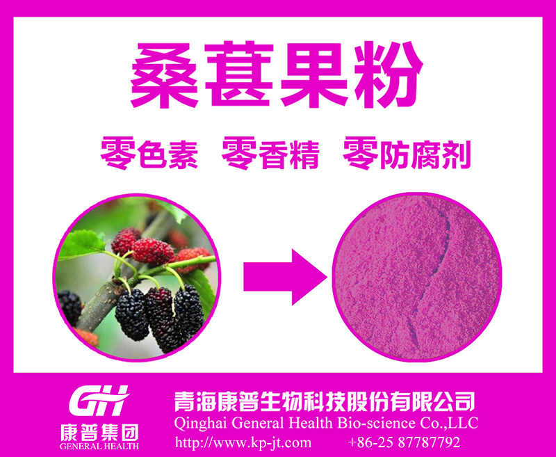 桑葚果粉