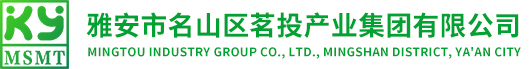 網站首頁