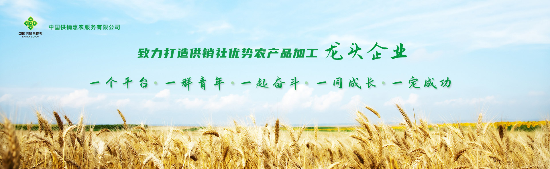 中國供銷惠農服務有限公司