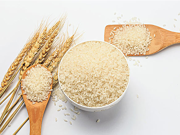 大米的發展簡史，從古人食用方式到現代人的不同需求！