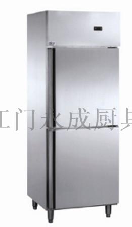 雙門直冷/風(fēng)冷工程柜