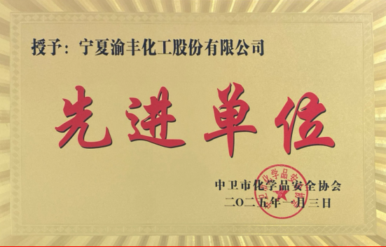 喜訊——寧夏渝豐被中衛(wèi)市化學(xué)品安全協(xié)會授予2024年度安全管理“先進(jìn)單位”榮譽稱號