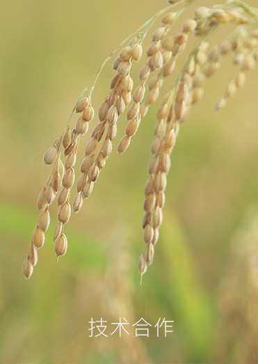 黑龙江科普特农业生物技术发展有限公司