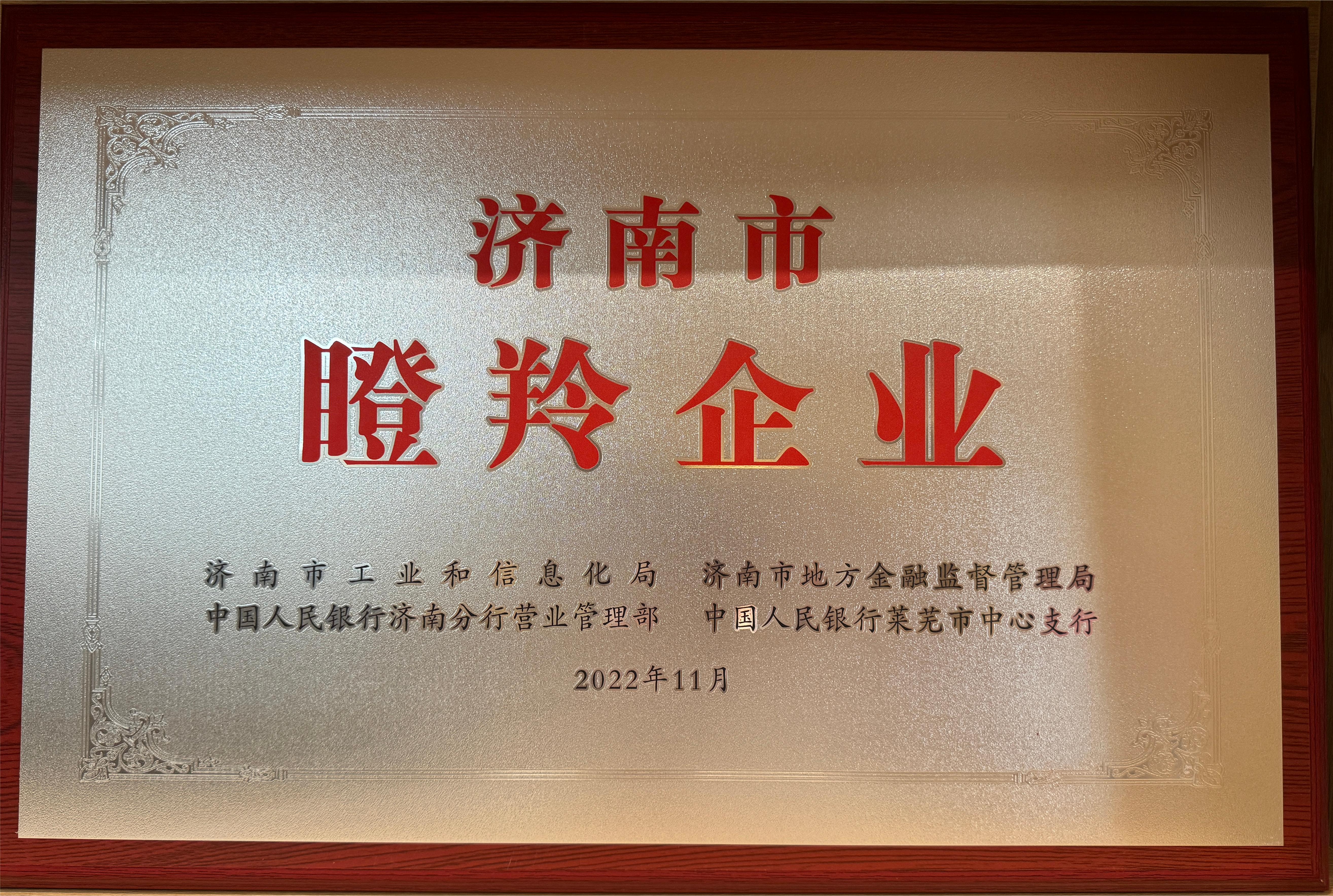 濟(jì)南市瞪羚企業(yè)