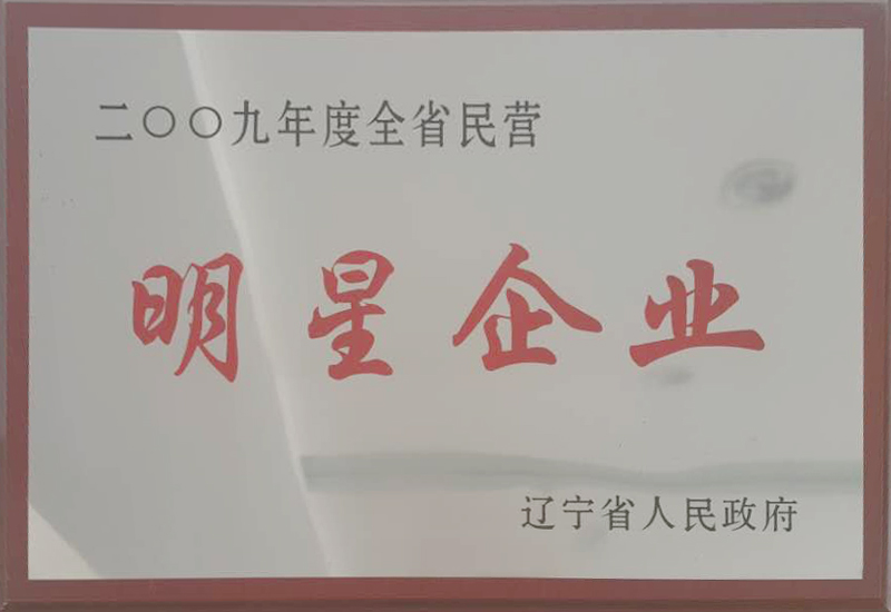 2009年度全省民營明星企業