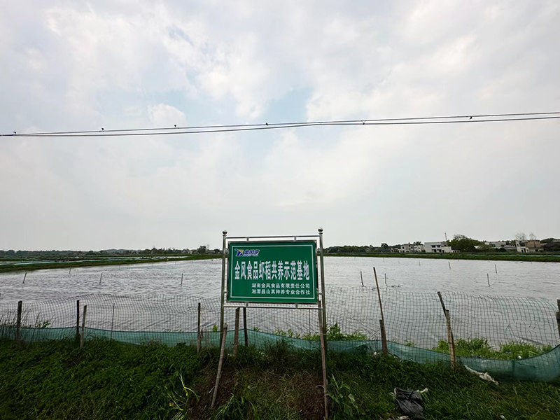 金風食品蝦稻共養示范基地