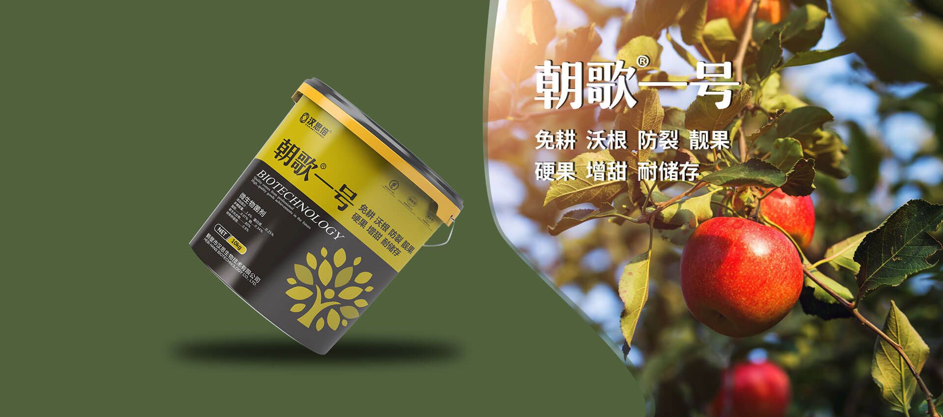 鶴壁市漢思生物技術(shù)有限公司 鶴壁市漢思生物技術(shù)有限公司