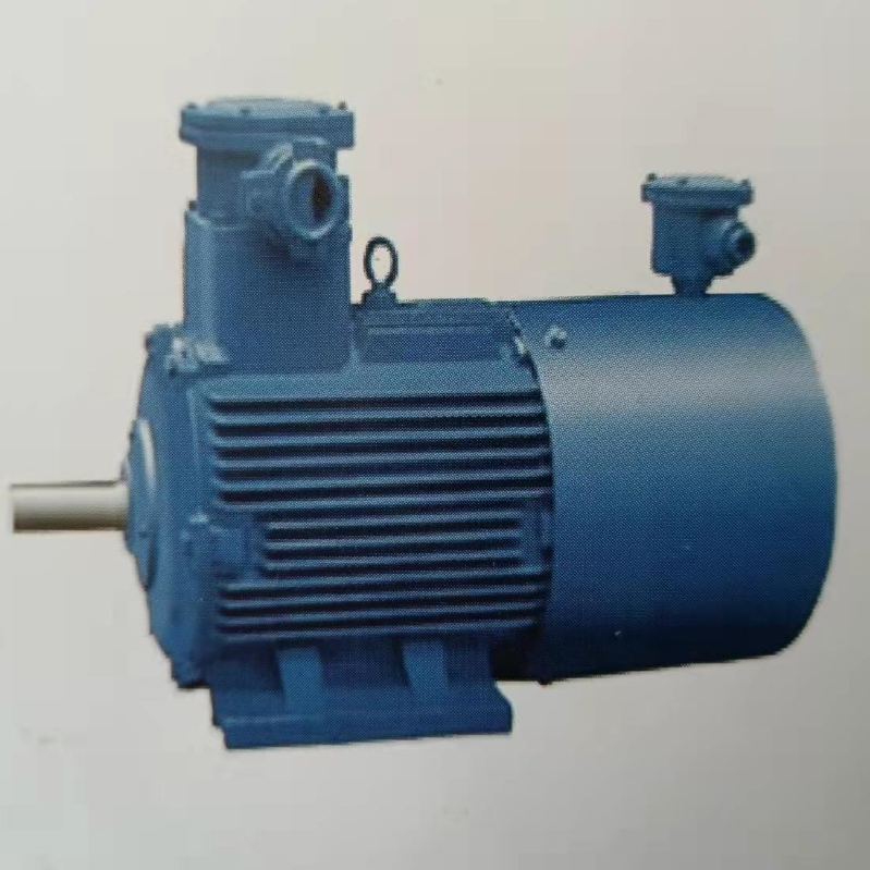 YBBP 系列隔爆型變頻調(diào)速三相異步電動機(jī)