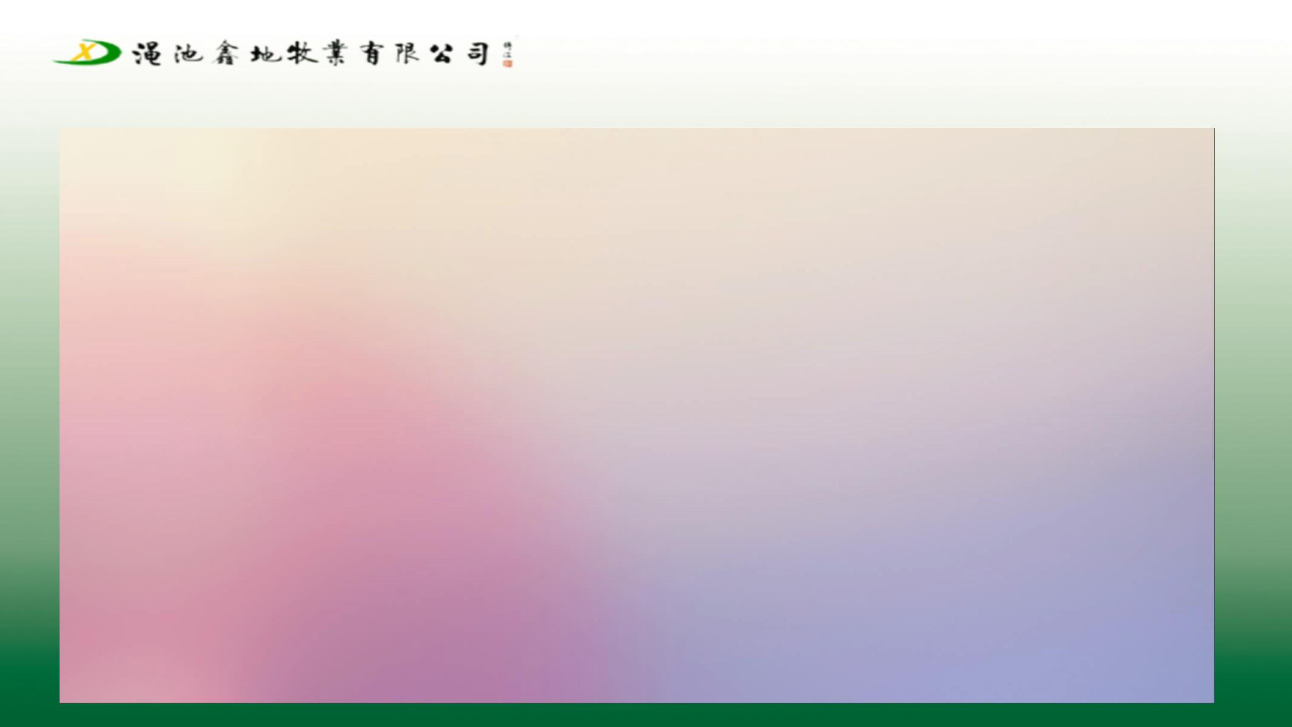 采樣檢測製度及方案（第一版）