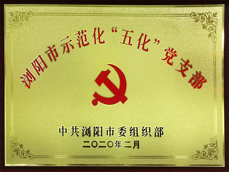 浏阳市示范化“五化”党支部