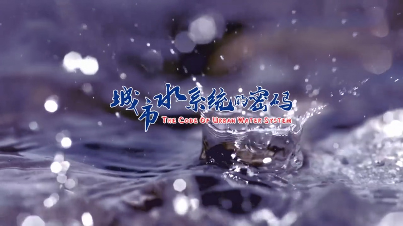 这是描述信息