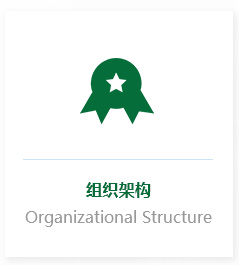 这是描述信息