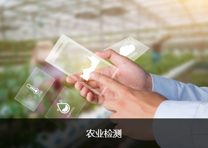 这是描述信息