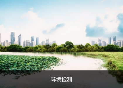 这是描述信息