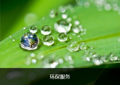 这是描述信息