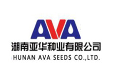 这是描述信息