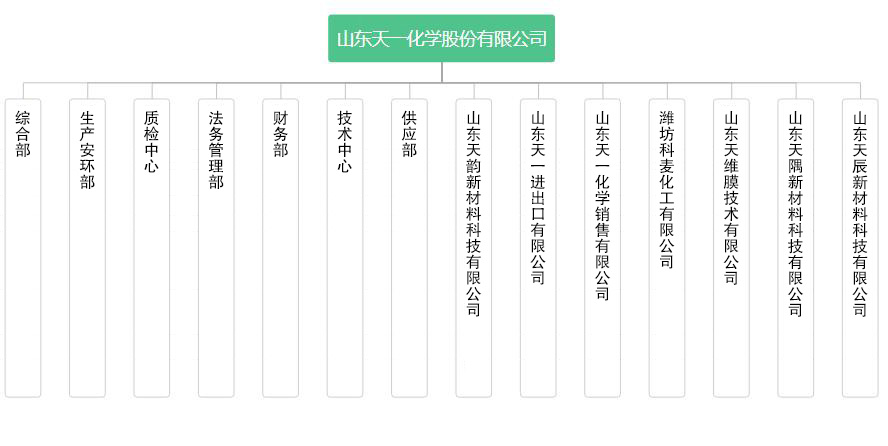 天一化学组织机构