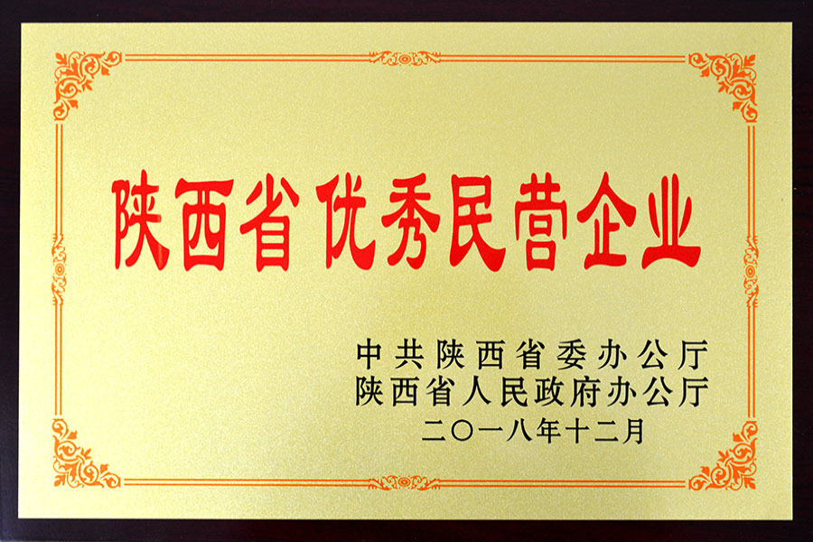 优秀民营企业