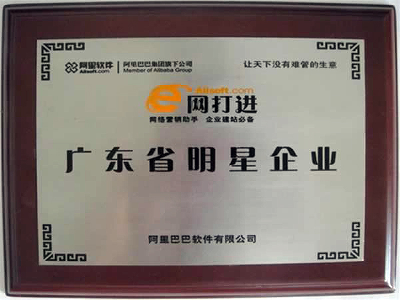 E网打进