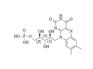 黄素单核苷酸