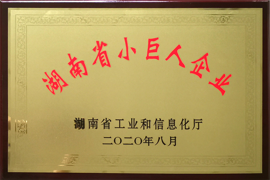湖南省小巨人企业