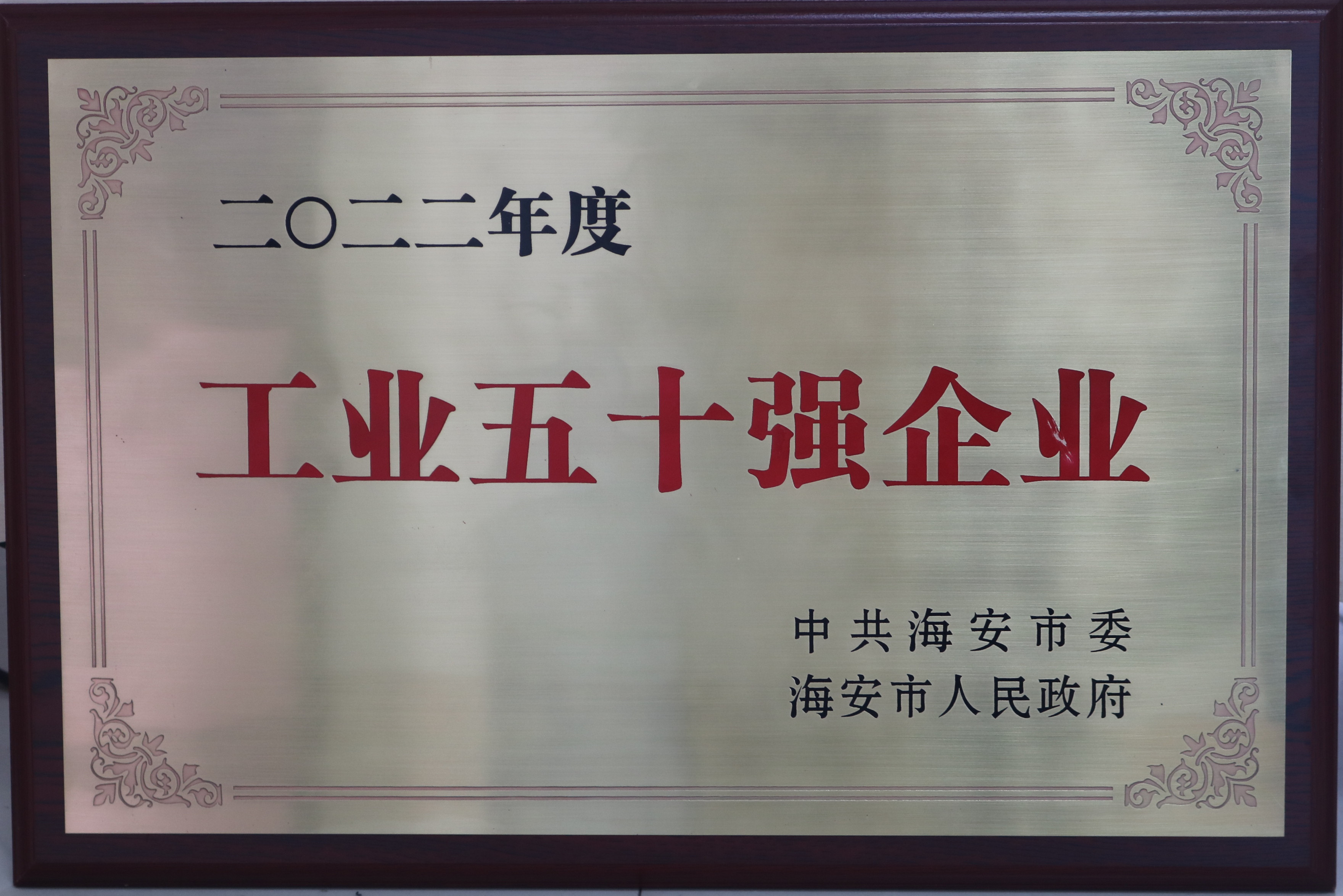 2022海安市工业五十强