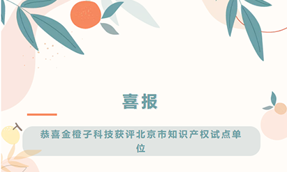 喜报 | 金橙子科技获评北京市知识产权试点单位
