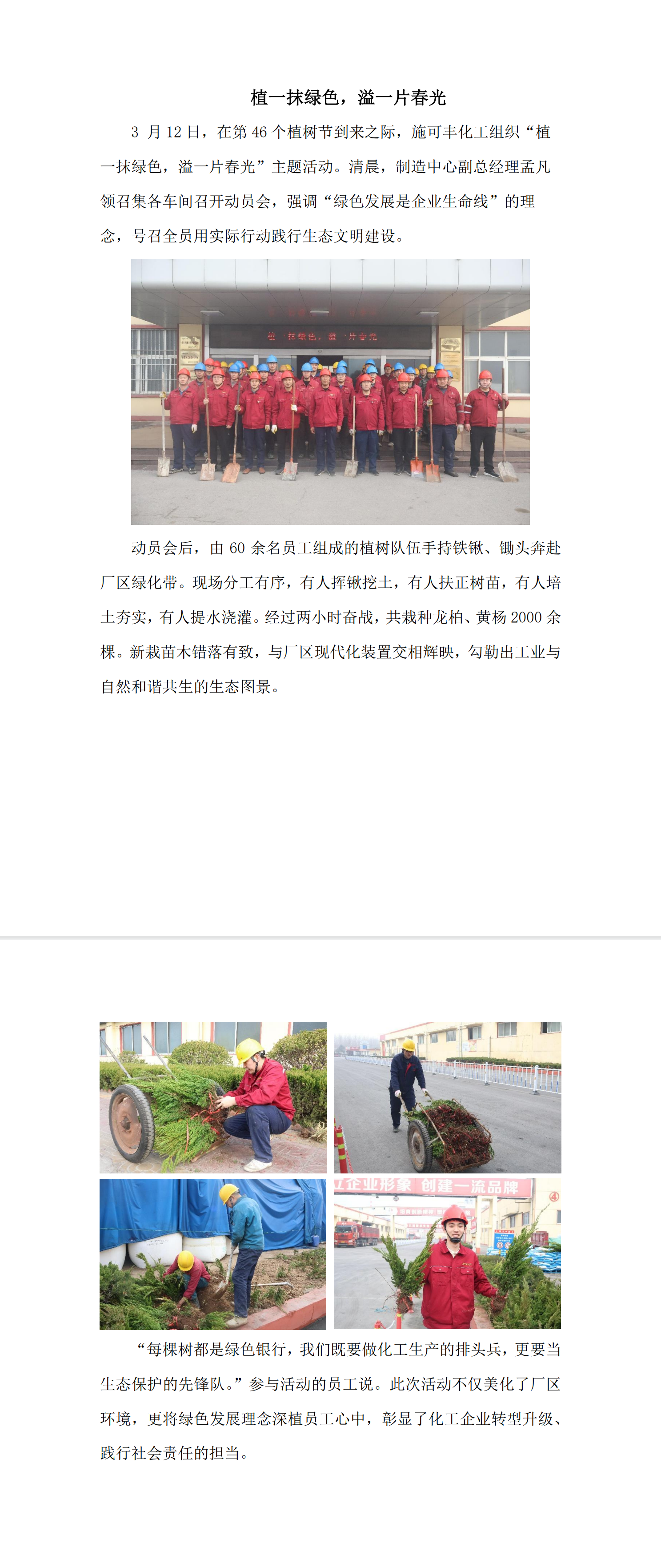 植一抹绿色，溢一片春光