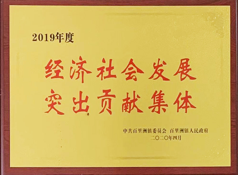 2019年度经济社会发展突出贡献集体